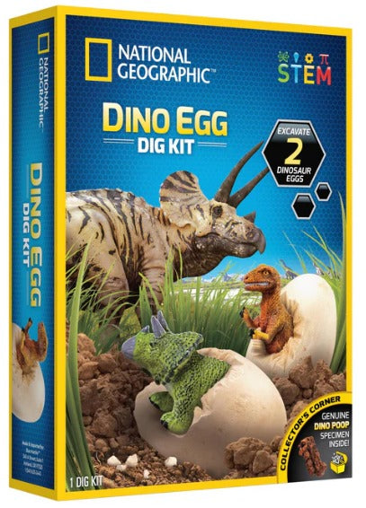 WhatsApp Image 2026-01-04 at 12.28.42