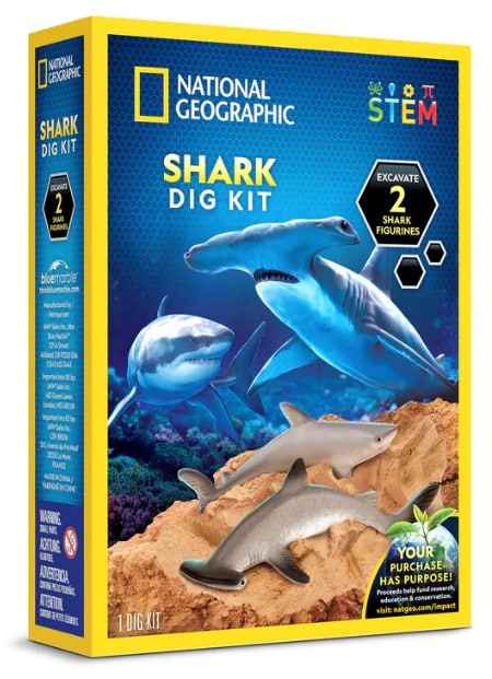 WhatsApp Image 2026-01-04 at 13.00.37