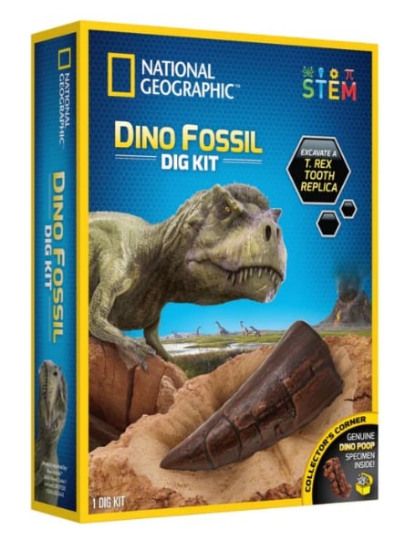 WhatsApp Image 2026-01-04 at 13.06.06